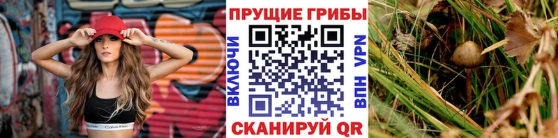 Галлюциногенные грибы MAGIC MUSHROOMS  сколько стоит  KRAKEN ссылки  Спас-Деменск 